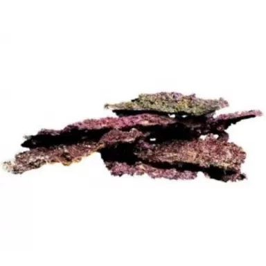 CaribSea Life Rock met bacterien Shelf Rock Platen 18.14 kg CaribSea Life Rock met bacterien Shelf Rock Platen 18.14 kg