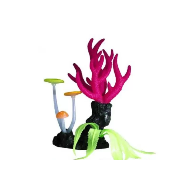 Superfish Fluo Coral roze