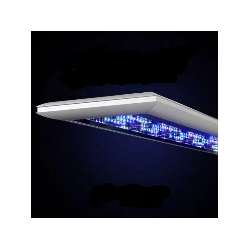 Giesemann futura s 450mm 2 Module| Coralandfishstore.nl