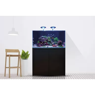 Blue Marine Reef 350 Weiß komplett