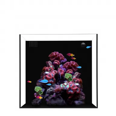 Waterbox AIO Cube 20 (Ohne Unterschrank)