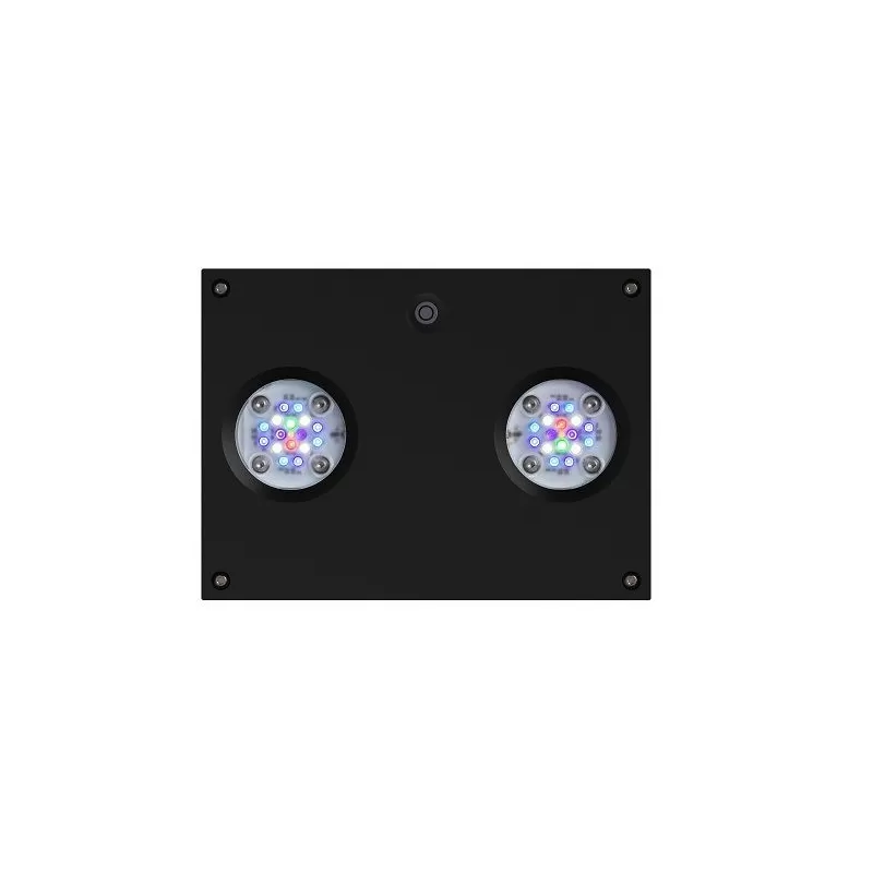 D-D Hydra 32 HD Black