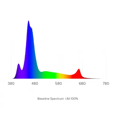 D-D Hydra 32 HD Black