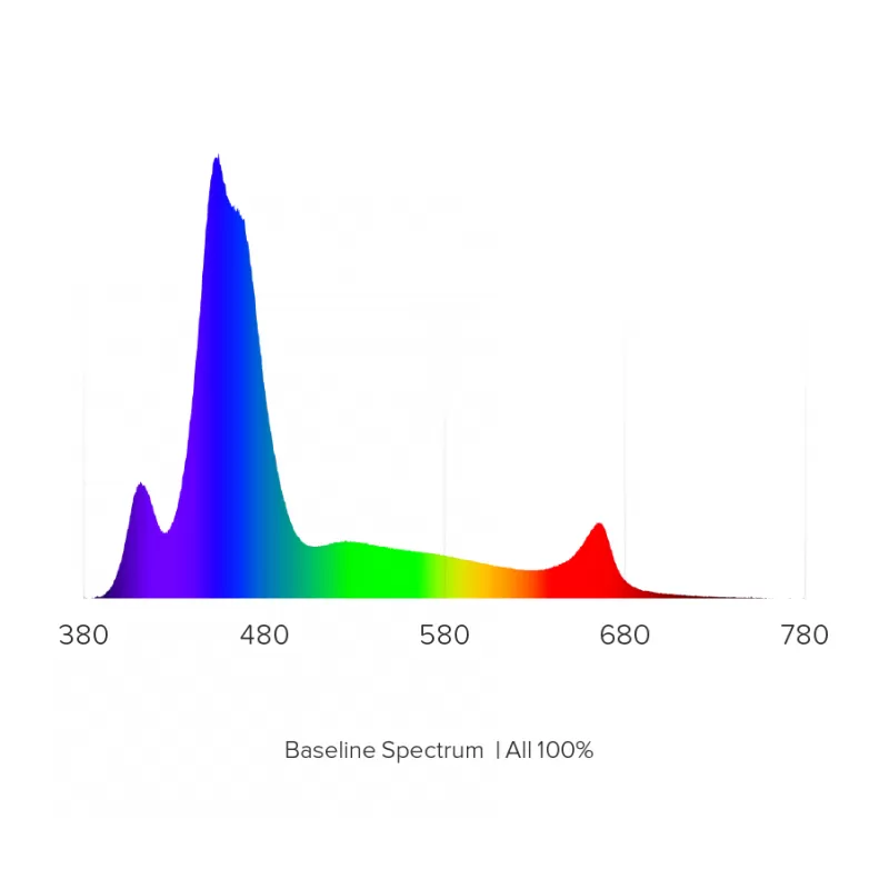 DD Hydra 32 HD Schwarz