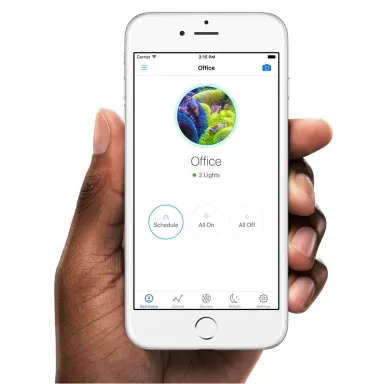 D-D Hydra 32 HD Black