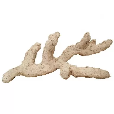 Arka Branched 20cm