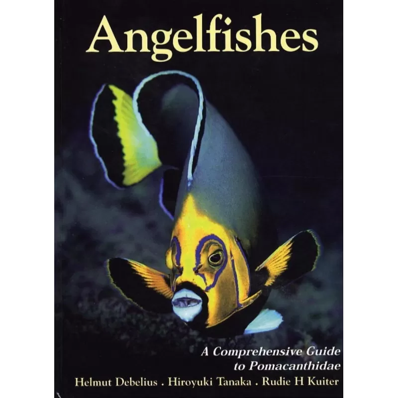 Angelfishes Guide