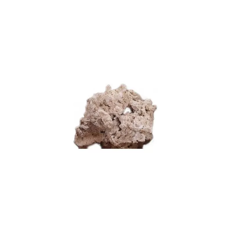 Dry Base Rock Indonesia box 18/22kg Dry Base Rock Indonesia box 18/22kg