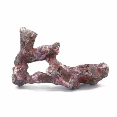 Dutch Reef Rock Bones (Dry) p/kg Dutch Reef Rock Bones (Dry) p/kg
