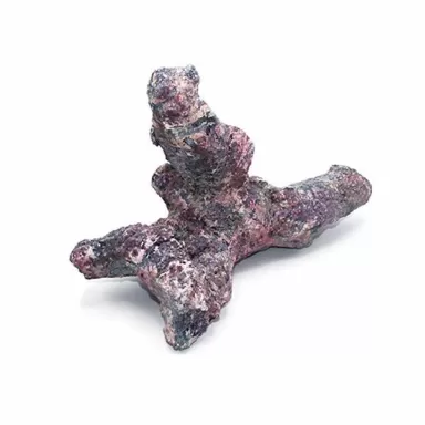 Dutch Reef Rock Bones (Dry) p/kg Dutch Reef Rock Bones (Dry) p/kg