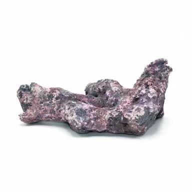 Dutch Reef Rock Bones (Dry) p/kg Dutch Reef Rock Bones (Dry) p/kg