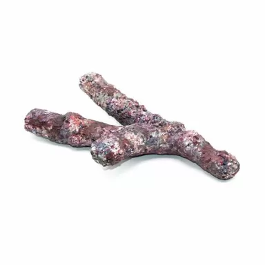 Dutch Reef Rock Bones (Dry) p/kg Dutch Reef Rock Bones (Dry) p/kg