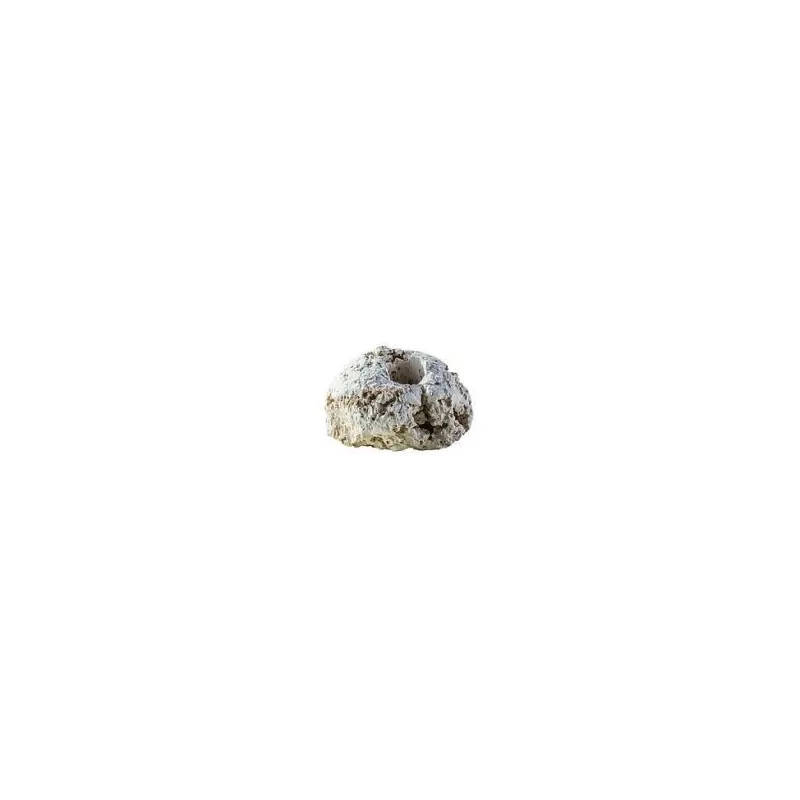 CFS SPS Fragstones 20 pcs Large