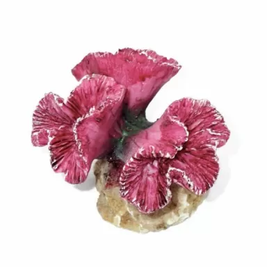 Kunstkoraal Symphylia Roze
