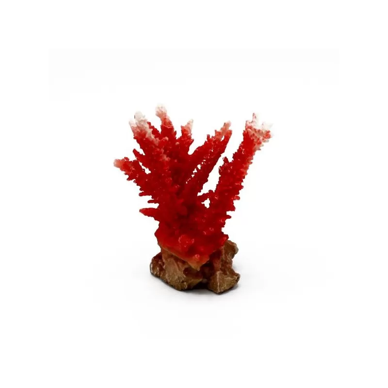 Kunstkoraal Acropora Rood Kunstkoraal Acropora Rood