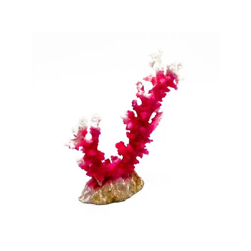 Kunstkoraal Acropora Wit/Roze