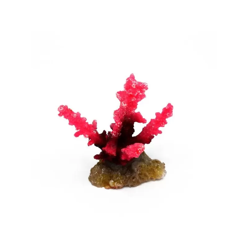 Kunstkoraal Acropora Roze Kunstkoraal Acropora Roze
