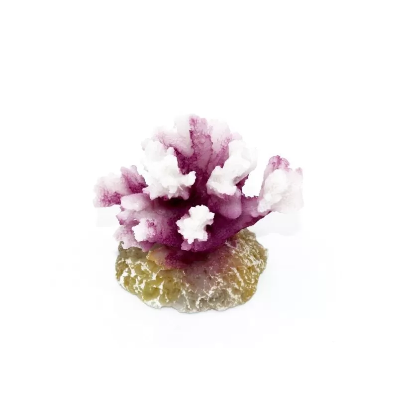 Kunstkoraal Pocillopora Wit/Paars Kunstkoraal Pocillopora Wit/Paars