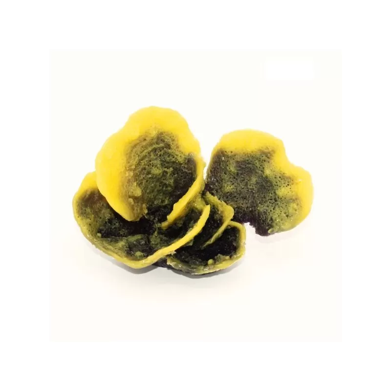 Kunstkoraal Montipora Geel/Paars Kunstkoraal Montipora Geel/Paars