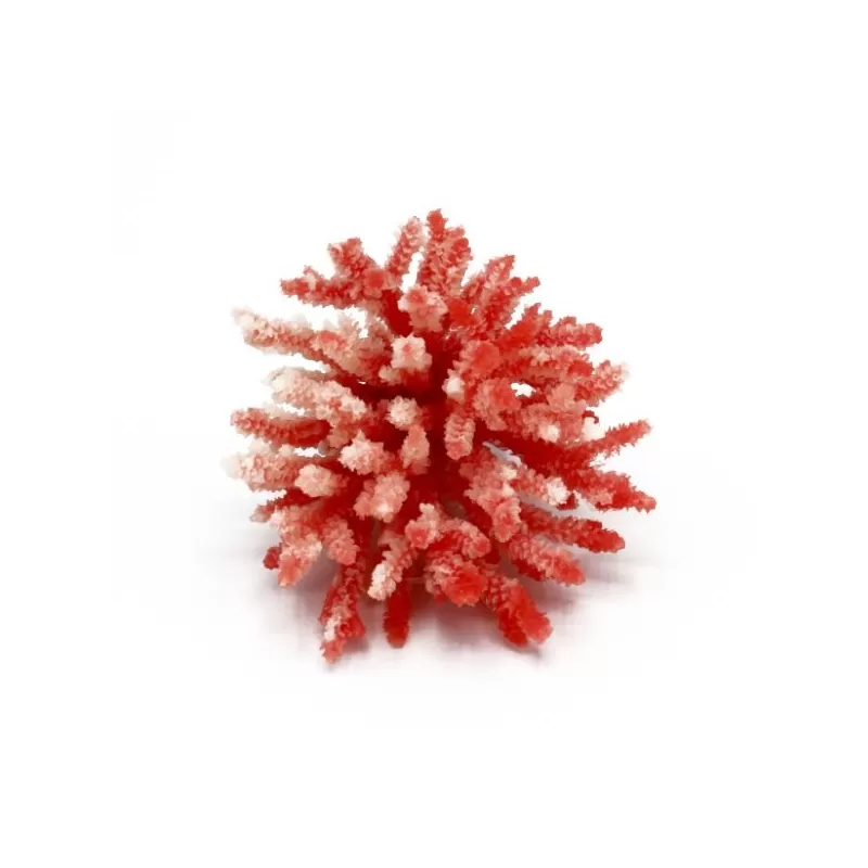 Kunstkoraal Acropora Wit/Rood Kunstkoraal Acropora Wit/Rood