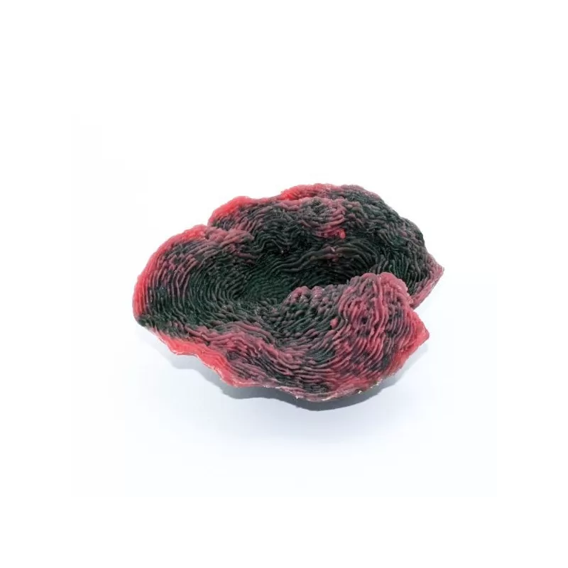 Kunstkoraal Olifantsoor Roze Groen Kunstkoraal Olifantsoor Roze Groen