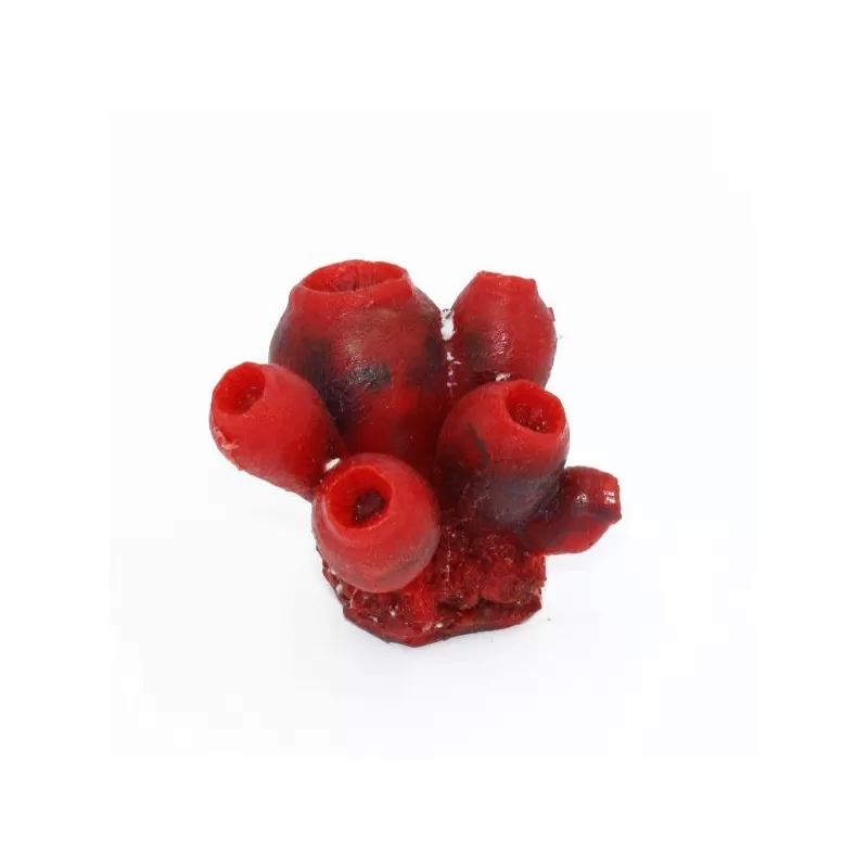 Kunstkoraal Clavelina Rood