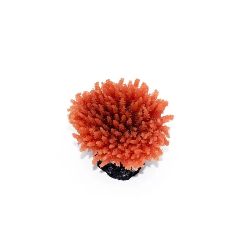 Kunstkoraal Acropora Paars Kunstkoraal Acropora Paars