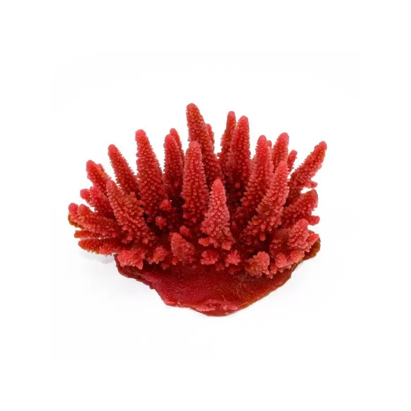 Kunstkoraal Acropora Rood Kunstkoraal Acropora Rood