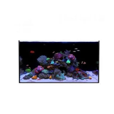 Waterbox All In One 65.4 (Ohne Unterschrank)