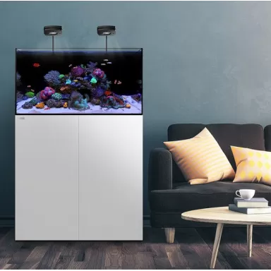 Waterbox All In One 50.3 White