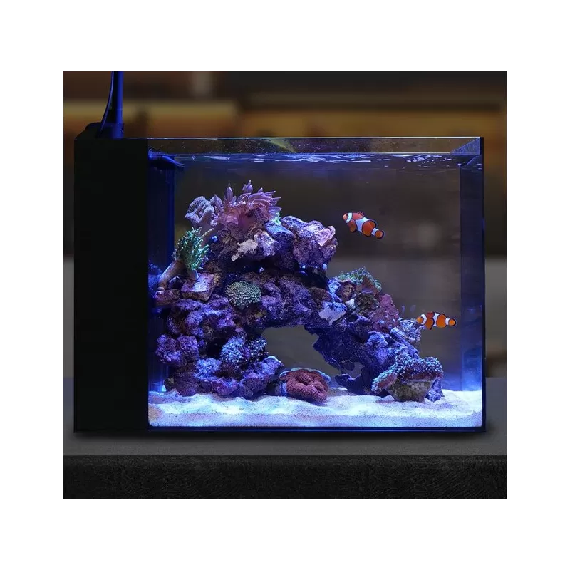 Waterbox Peninsula Mini 25