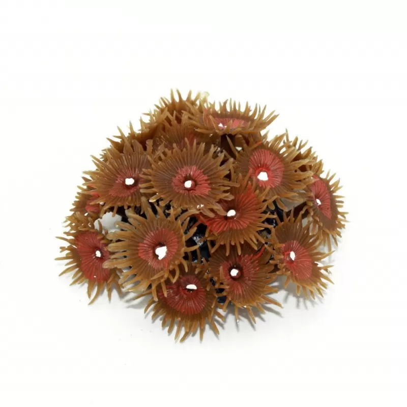 Kunstkoraal zoanthus colony tan Kunstkoraal zoanthus colony tan