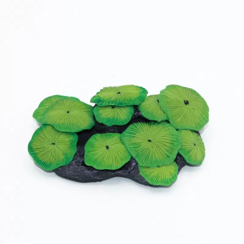 Kunstkoraal mushroom colony groen Kunstkoraal mushroom colony groen