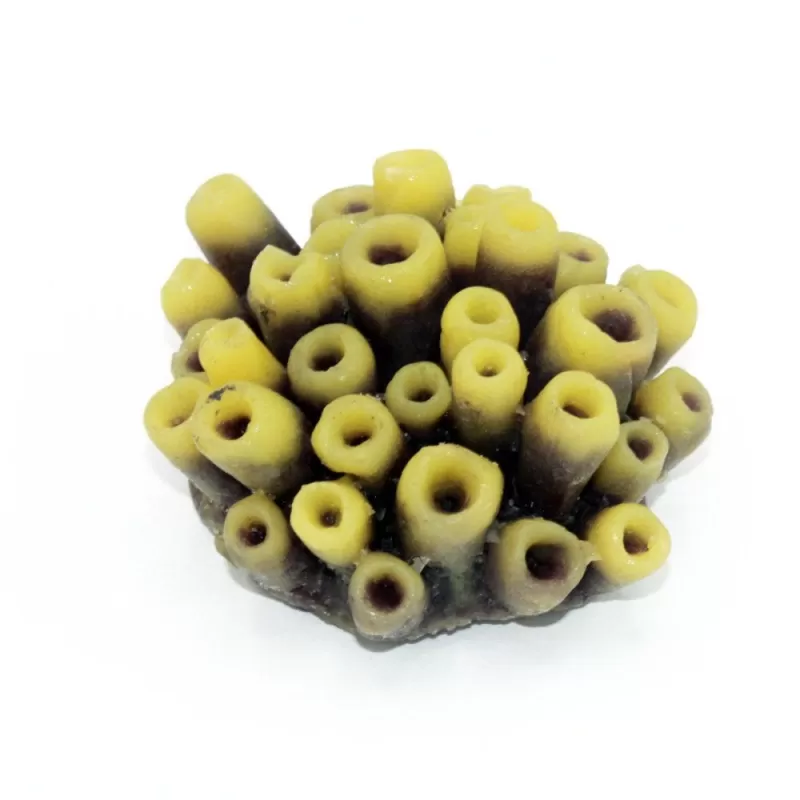 Kunstkoraal tube sponge geel paars Kunstkoraal tube sponge geel paars