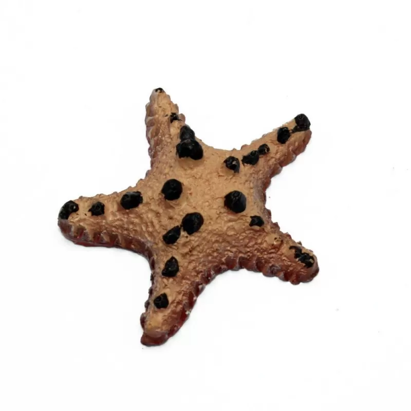 Kunstkoraal starfish choc chip Kunstkoraal starfish choc chip
