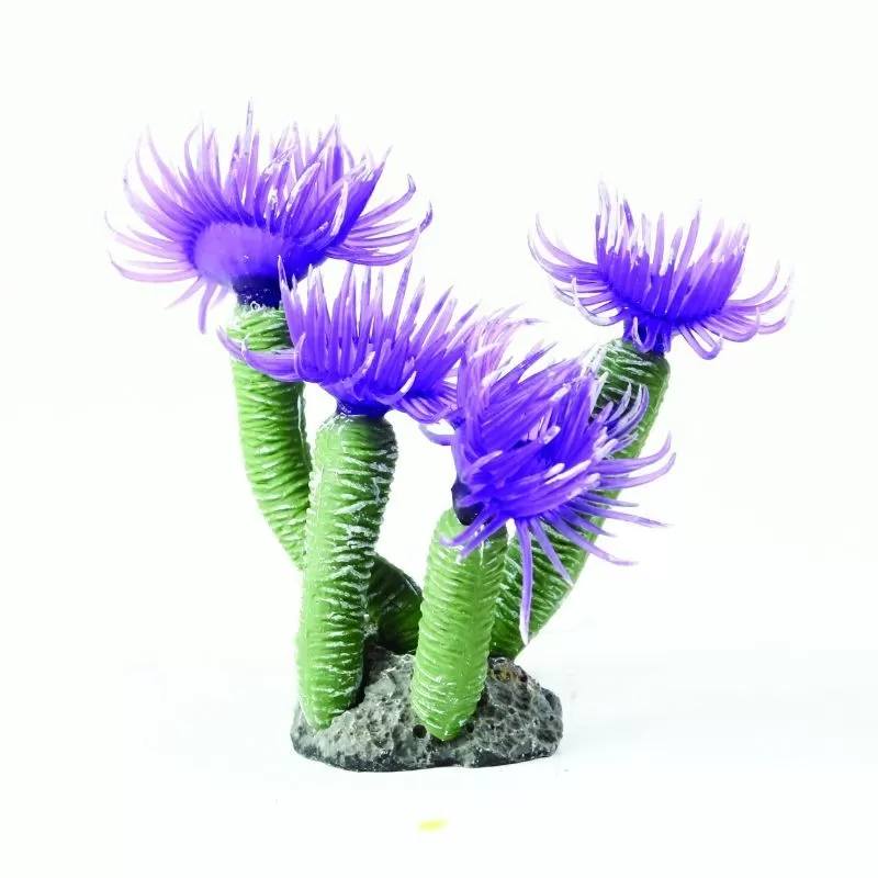 kunstkoraal midnight duster