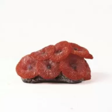 Kunstkoraal discosoma rood