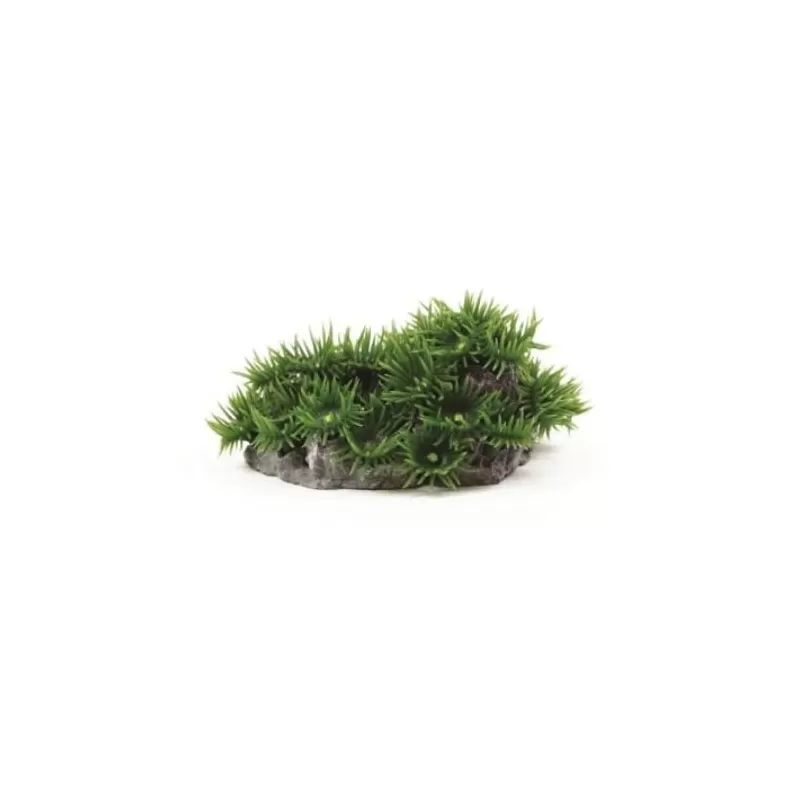 Kunstkoraal palythoa donker groen 13 x 12 x 7cm Kunstkoraal palythoa donker groen 13 x 12 x 7cm