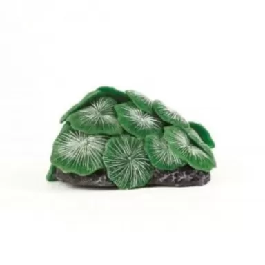 Kunstkoraal discosoma groen