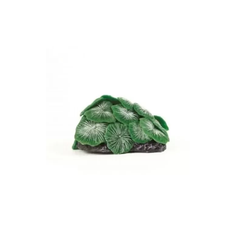 Kunstkoraal discosoma groen Kunstkoraal discosoma groen