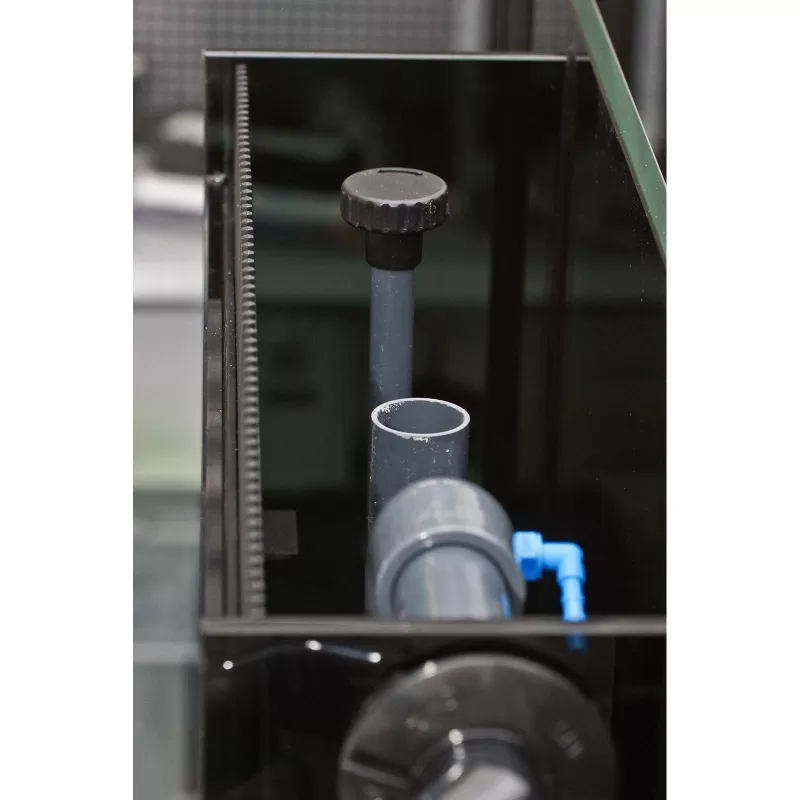 Bewaffnete 375XD Weiß