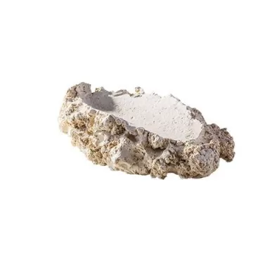 Arka tridacna holder S