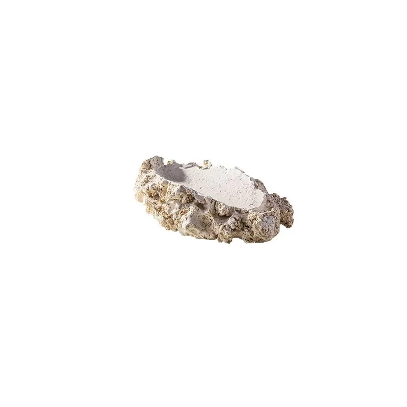 Arka tridacna holder S Arka tridacna holder S