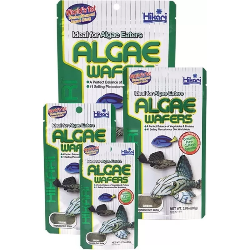 Hikari Algae Wafers 40 gram Hikari Algae Wafers 40 gram