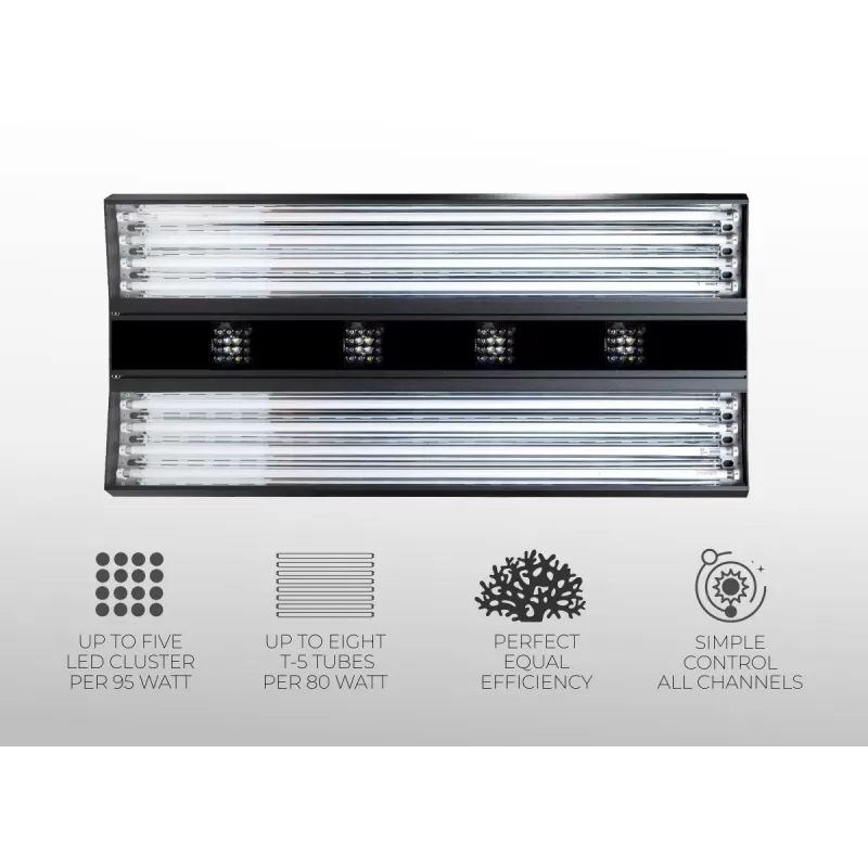 Giesemann Aurora V8 1500mm - White