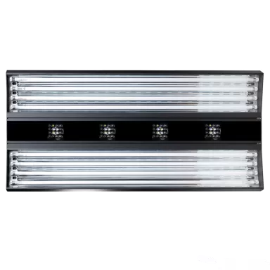 Giesemann Aurora V8 900mm Irridium