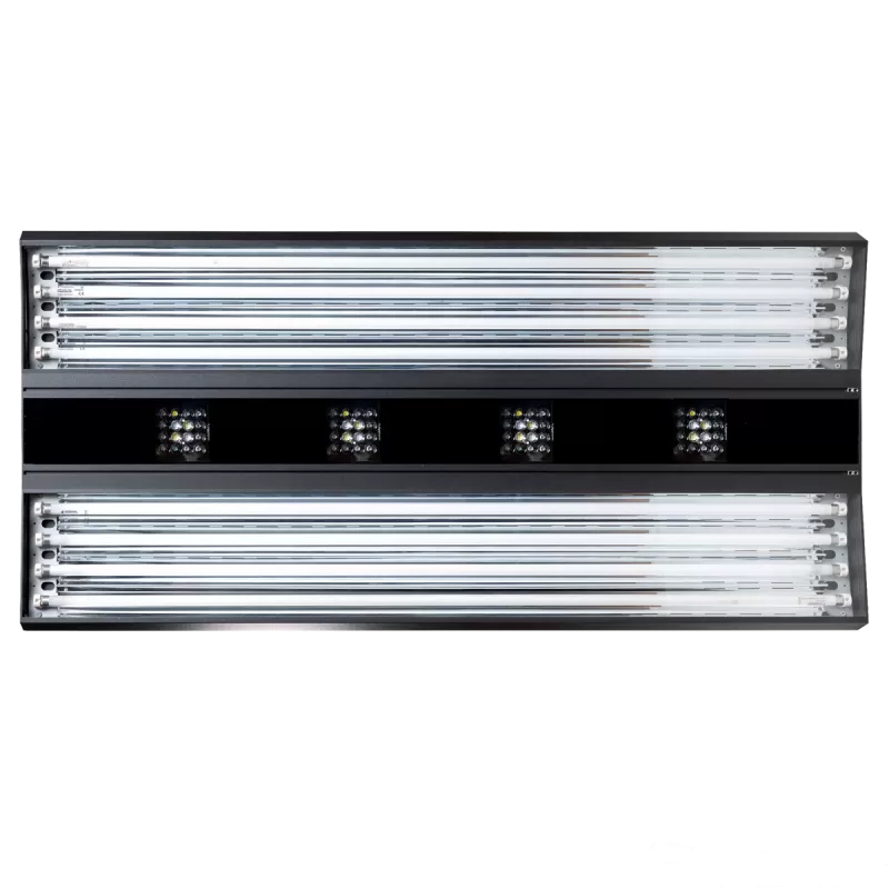 Giesemann Aurora V8 1200 mm – Irridium