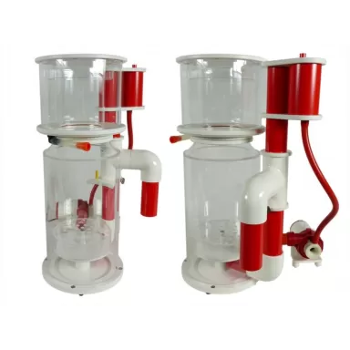 Royal Exclusiv Bubble King DeLuxe 250 Interner RDX DC 24V