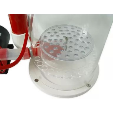 Royal Exclusiv Bubble King DeLuxe 200 Internal RD3 Speedy