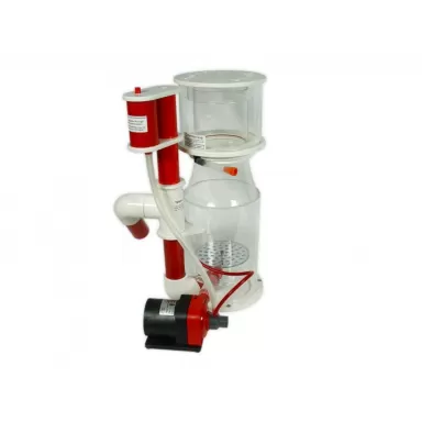 Royal Exclusiv Bubble King DeLuxe 200 Internal RD3 Speedy